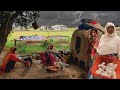 During Rain harvest and cooked Mushrooms by Punjab Desert Village women in Mud house | Rural Life