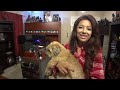Pirillo Vlog 623 - Old Hobbits Die Hard Pirillo Vlog 623 - Old Hobbits Die Hard