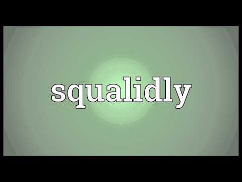 Header of squalidly