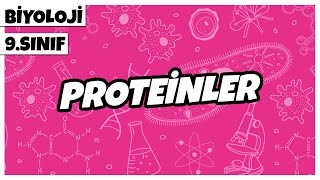 9. Sınıf Biyoloji - Proteinler | 2022