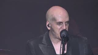 Watch Devin Townsend The Greys video