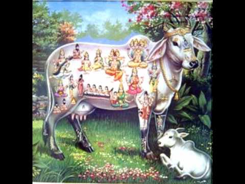 Sri Sudarshanaashtakam - Sri Sudarshanaashtakam