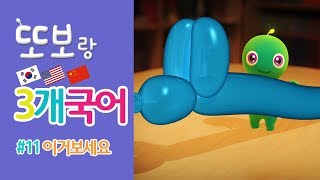 또보랑 3개국어 한국어 영어 중국어 배우기 이거 보세요 키즈봄