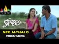 Kalasala Video Songs | Nee Jathalo Cherithe Video Song | Tamanna, Akhil | Sri Balaji Video