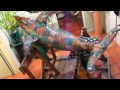 Maya Emmy Dolphin - far less frenetic than my first video :)
