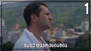 შაგუ დეპრესიაშია 14