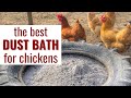 How to Make a Dust Bath for Your Chickens (With the Right Ingredients)