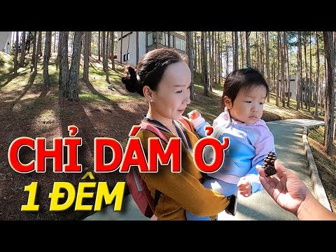 Khám phá RESORT sang trọng TERRACOTTA cho nhà giàu CHỈ DÁM Ở 1 ĐÊM - TO NHẤT ĐÀ LẠT