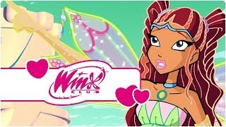 Winx Club - Sezon 3 Bölüm 25 - Büyücünün Öfkesi - [TAM BÖLÜM]