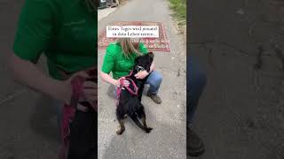 Knox Liebt Menschen Über Alles.