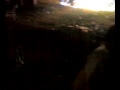 firing 000 at Qazi Hassnain Gujjar