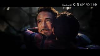 Spider Man Avm Beiver