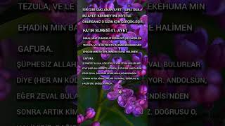 Sirli Ayet