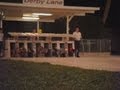 Greyhound Dog Wipes Out In Race