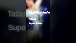 Witzi Witzi Araña