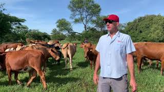 Tip of the Month on Ranch Patrol