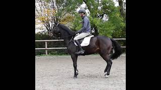 Working With A Spooky Horse - Meredith Michaels Beerbaum