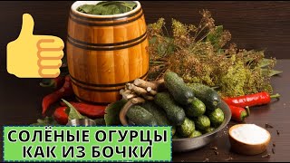 Рецепт соленых огурцов-как из бочки Рецепт соленых огурцов-как из бочки