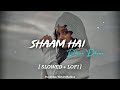 Shaam Hai Dhuan Dhuan | Diljale | Ajay Devgan | Slowed+LoFi | Full Song