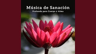 Meditación Budista Meditación Budista