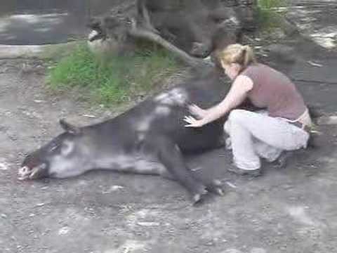 sex massage slagelse zoo i Århus sex massage slagelse zoo i Århus