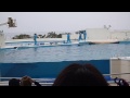 ２０１３０４１２ブセナ公園でイルカをみよう～＾＾ｖ