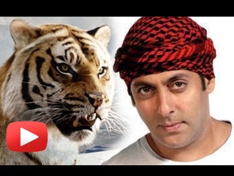 Salman Khans Film Sher Khan To Have...