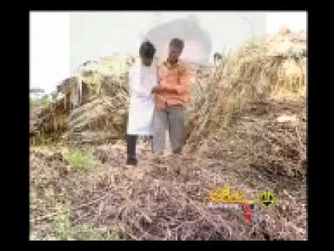 Preetiya parivala.mp4 Kannada janapada geethe