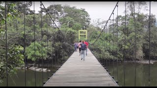 Encuentro en el Bosque Medicinal