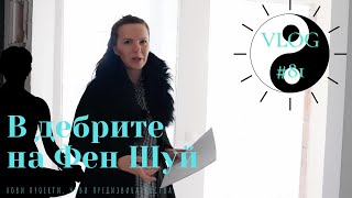 В дебрите на Фен Шуй I Интериорен дизайн I Студио ШкафА I VLOG #81