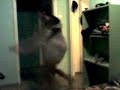 Hary Dance Striptis images Hary Dance Striptis