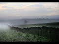 rural