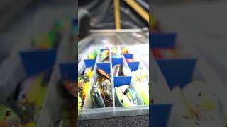 You Can Choose One Fishing Lure