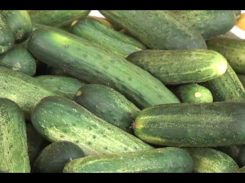 Duke's 2009 Farmers Market