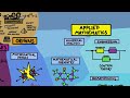 Map Of Mathematics Map Of Mathematics