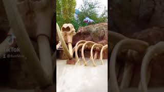 The Lion King Hyenas On An Elephant Graveyard