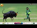 Top 10 RARE Moments In Cricket History Ever | Cricket Hub