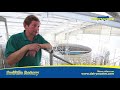 Video Stainless Steel Rotary Milking Parlour - ENGLAND
