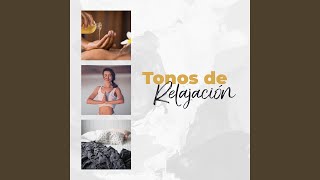 Música Relajante Sonidos De Agua Música Relajante Sonidos De Agua