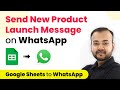 How to Send New Product Launch Message on WhatsApp - WhatsApp Automation