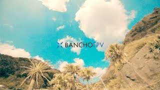 A Hidden Tropical Island Tokyo Fpv