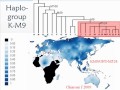 人類學、族群、姓氏和Y染色體