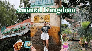 Day 6 Disney World Vlog Animal Kingdom, Flight Of Page, Safari, Dinosaur, Everest, Pins & More