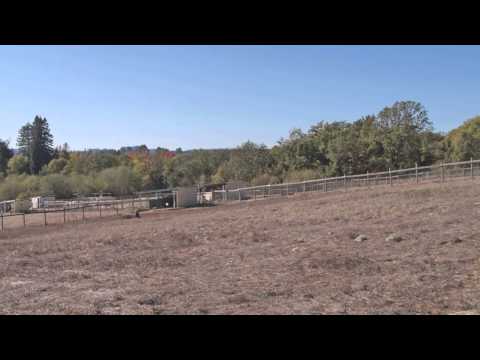 4773 Ross Rd - Sebastopol Ranch for Sale by Terra Firma Global Partners