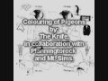 Colouring of Pigeons - The Knife, in collaboration with Planningtorock and Mt. Sims. (ALBUM VERSION)