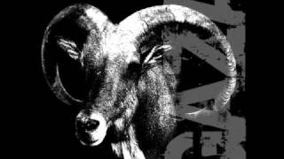 Watch Gaza Calf video