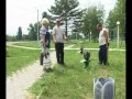 покрышки