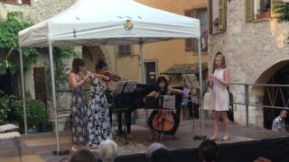 The Way of Ideas - Alexandra Gardner (flute, clarinet, violin, cello)
