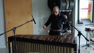 Poplar Creek Marimba Solo - Joe Beribak
