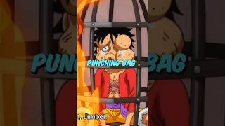 Which Straw Hat Has Never Been Hit By Nami?